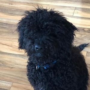 Meet your Posher, Beth